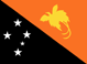 Papua New Guinea flag - small - style 1