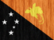 Papua New Guinea flag - small - style 2
