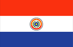 Paraguay flag - medium - style 1