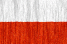 Poland flag - medium - style 2