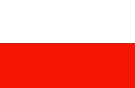 Poland flag - large - style 4