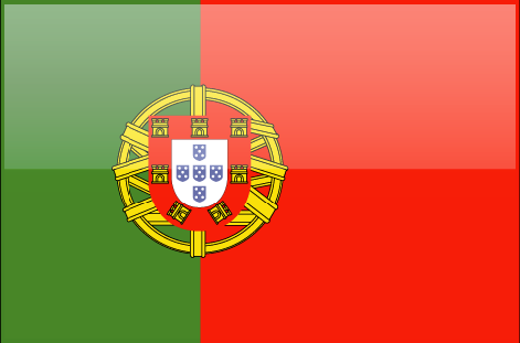Portugal flag - large - style 4