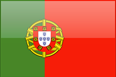 Portugal flag - medium - style 4