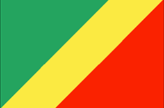 Republic of the Congo flag - medium - style 1