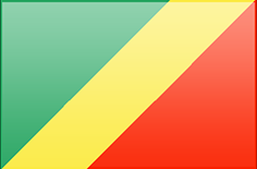 Republic of the Congo flag - medium - style 3