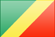 Republic of the Congo flag - small - style 3