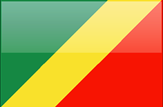 Republic of the Congo flag - medium - style 4