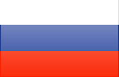 Russian Federation flag - medium - style 3