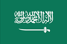 Saudi Arabia flag - medium - style 1