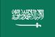 Saudi Arabia flag - small - style 1