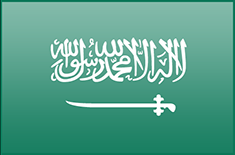 Saudi Arabia flag - medium - style 3