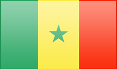 Senegal flag - medium - style 3