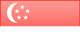 Singapore flag - small - style 3
