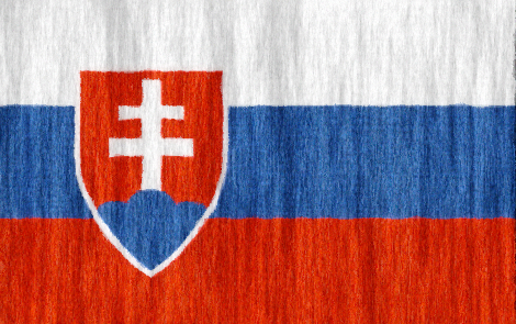 Slovakia flag - large - style 2