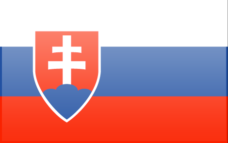 Slovakia flag - large - style 3