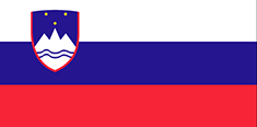 Slovenia flag - medium - style 1
