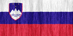 Slovenia flag - medium - style 2