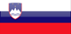 Slovenia flag - small - style 4