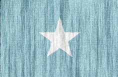 Somalia flag - medium - style 2