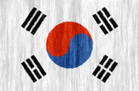 South Korea flag - large - style 2