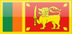 Sri Lanka flag - small - style 4
