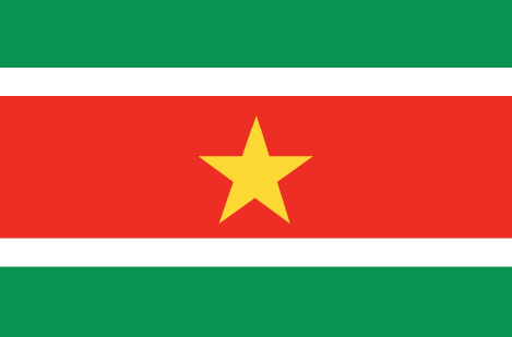 Suriname flag - large - style 1