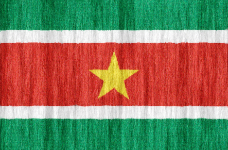 Suriname flag - large - style 2