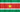 Suriname flag - tiny - style 2