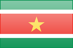 Suriname flag - medium - style 3