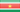 Suriname flag - tiny - style 3
