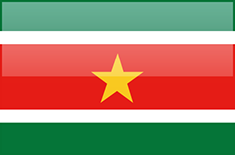Suriname flag - medium - style 4