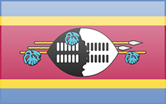 Swaziland flag - medium - style 3