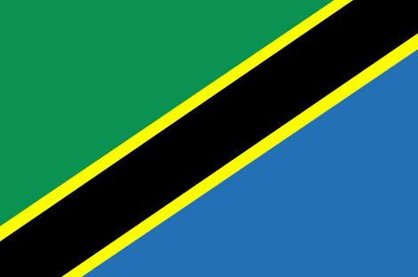 Tanzania flag - large - style 1
