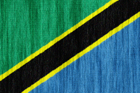 Tanzania flag - large - style 2