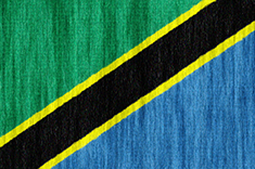 Tanzania flag - medium - style 2
