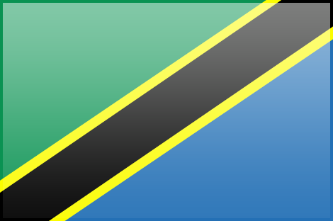 Tanzania flag - large - style 3