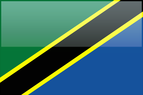 Tanzania flag - large - style 4