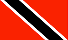 Trinidad and Tobago flag - medium - style 1