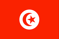 Tunisia flag - medium - style 1