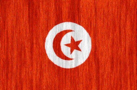 Tunisia flag - large - style 2