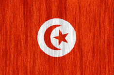 Tunisia flag - medium - style 2