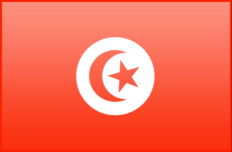 Tunisia flag - large - style 3
