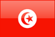 Tunisia flag - small - style 4