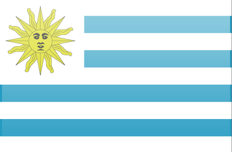 Uruguay flag - large - style 3