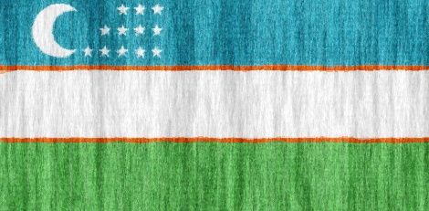 Uzbekistan flag - large - style 2