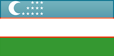 Uzbekistan flag - medium - style 4