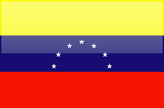 Venezuela flag - medium - style 4