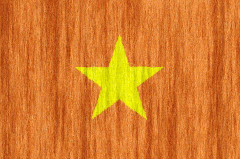 Vietnam flag - large - style 2