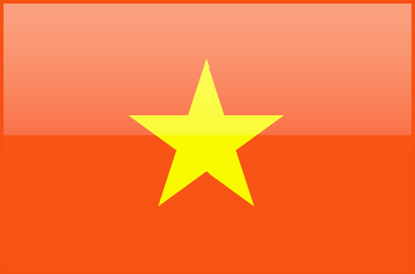 Vietnam flag - large - style 4