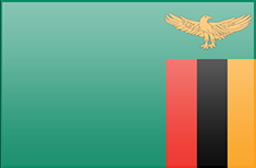 Zambia flag - medium - style 3